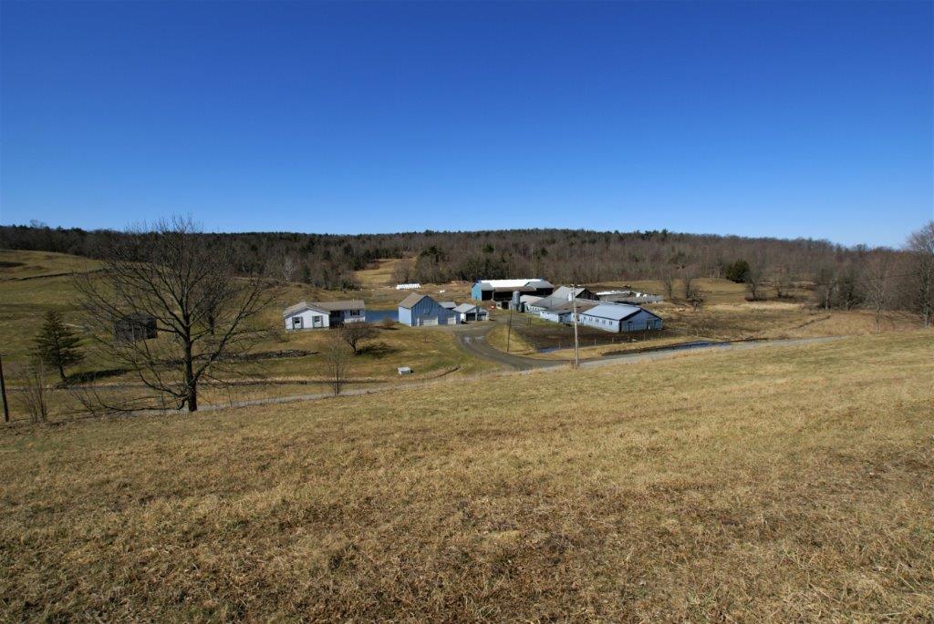 Braymer's Mountain Farm View
